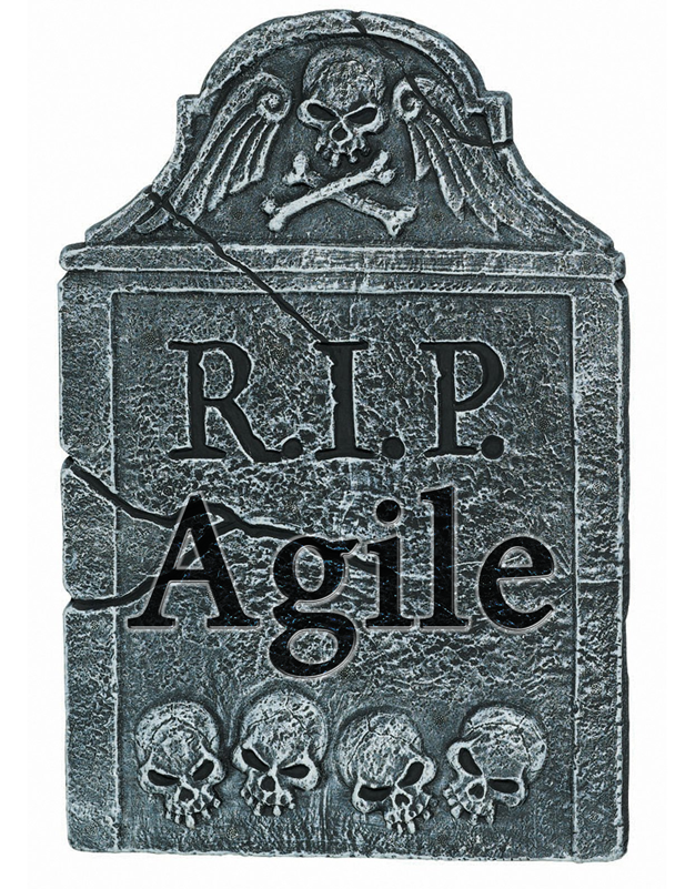 Image result for rip agile method