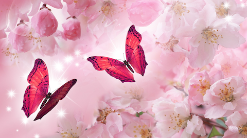 Two pink butterflies on a patterned pink background